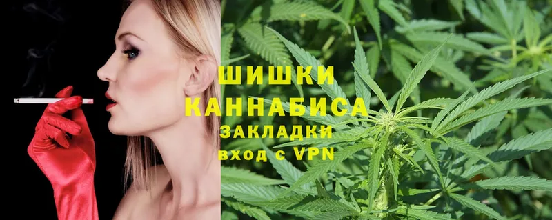 Канабис OG Kush  Покачи 